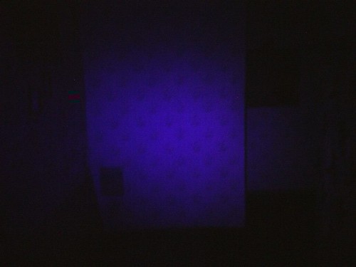 Blaue Beleuchtung Only