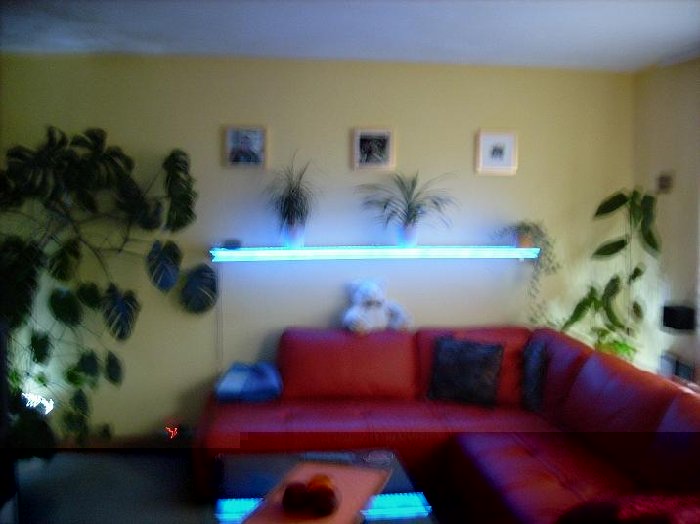 DSCI0019 regal.JPG (48.53 KiB) 14240 mal betrachtet DSCI0019 regal.JPG