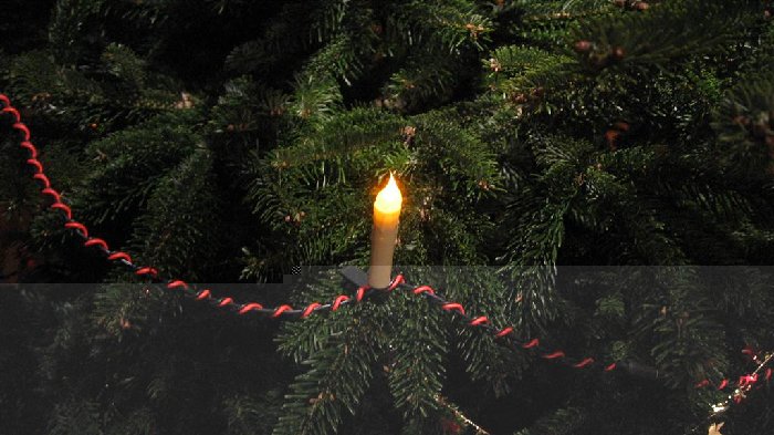 IMG_1288 (Large).JPG