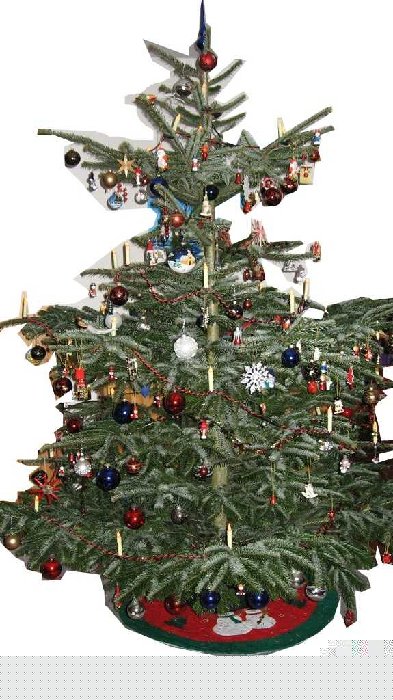 IMG_1290 (Large).JPG