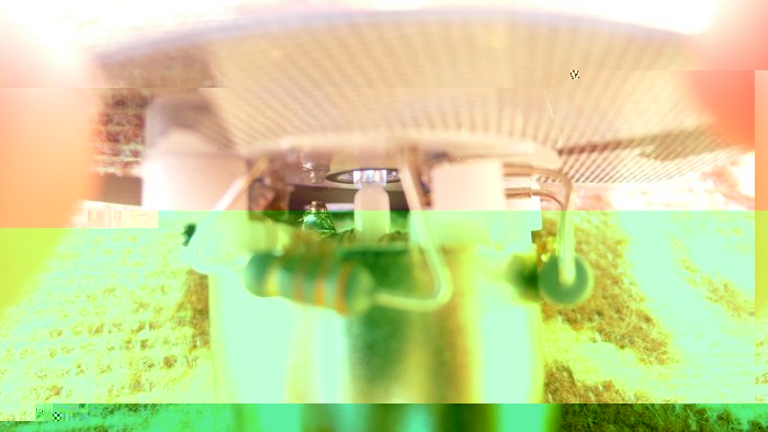 Die engere Unterseite