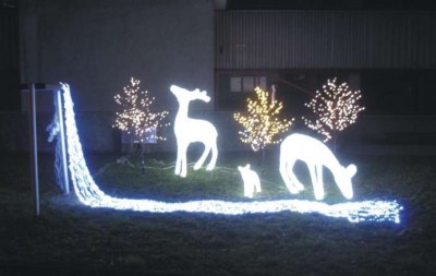 Stillleben im Walde...