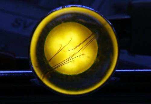 Led-5ch.jpg